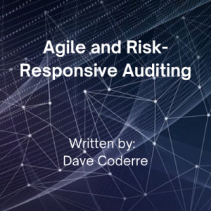 Agile and Risk-Responsive Auditing