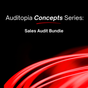 Sales Audit Bundle: Save $5 when you Bundle these 3 resources!