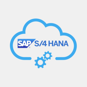 Converting Your SAP ECC Audit Analytics to S4 (1 CPE)